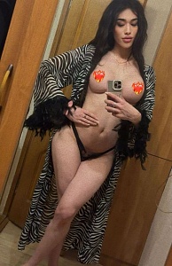 трансы ростова